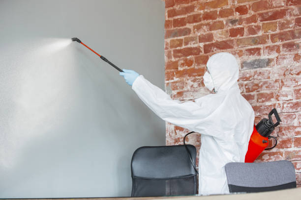 Best Mold Odor Removal Services  in Hillcrest Heights, MD