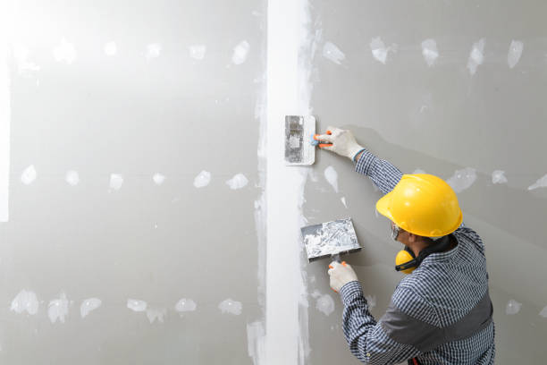 Best Mold Documentation for Insurance Claims  in Hillcrest Heights, MD