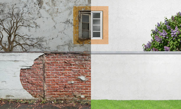 Best Commercial Mold Inspection  in Hillcrest Heights, MD